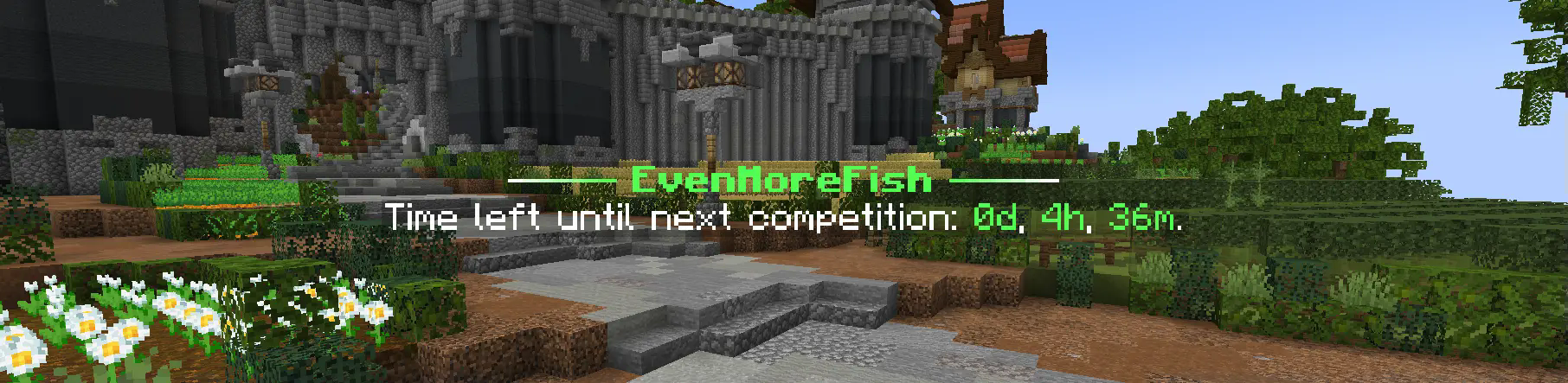 Leaderboards